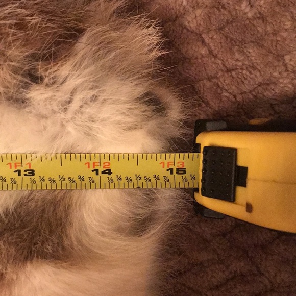 100% Real Fur Rabbit Vest Size S/M White Brown Silk Polyester Inside. Hip length - Picture 7 of 15